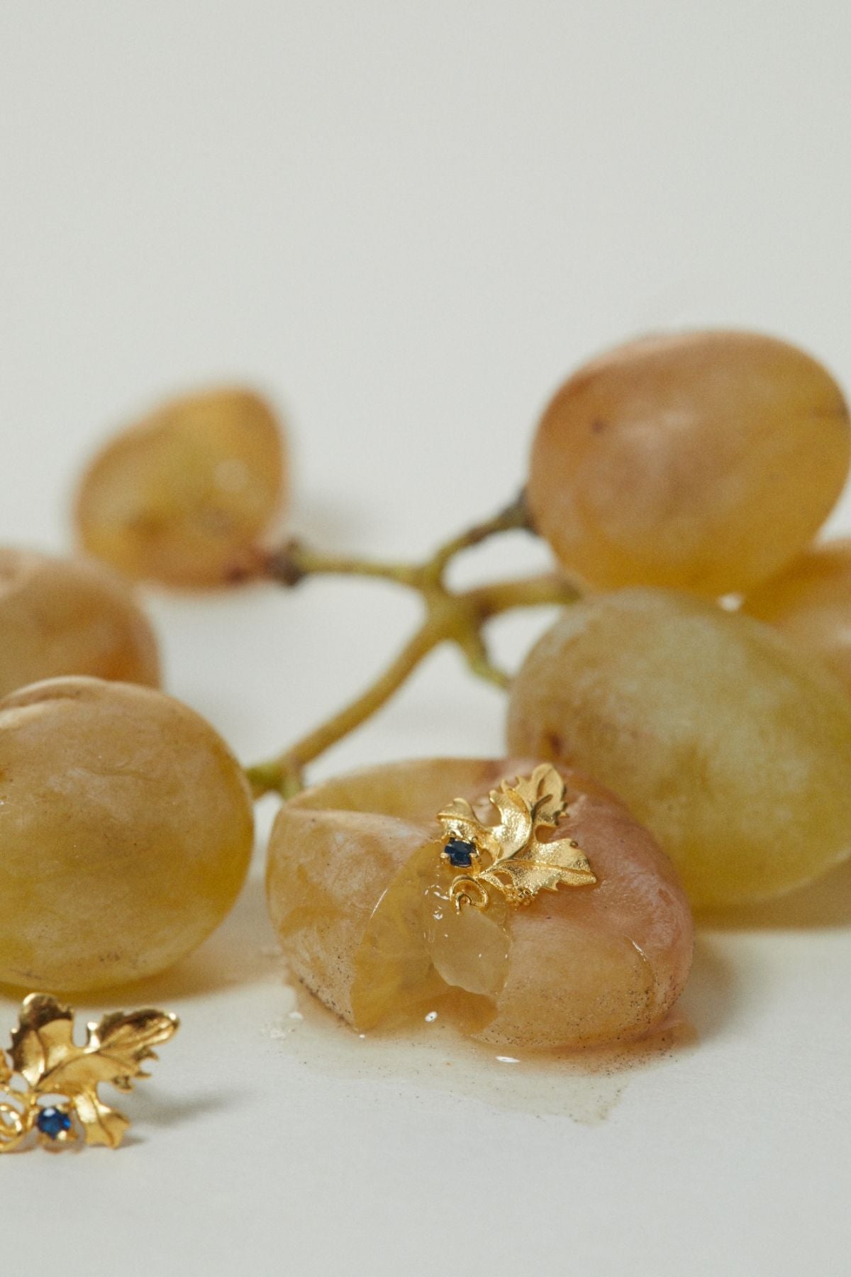 Gold earrings with blue gemstones on a branch of dried fruit.